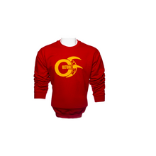Load image into Gallery viewer, crew neck graphic print sweater
