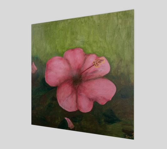 Hibiscus Poster
